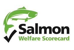 Salmon Welfare Scorecard