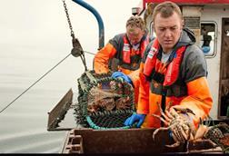 Brian Chambers on board a fishing vessel landing a large crab