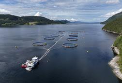 Fish pens at sea