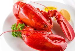 US lobster