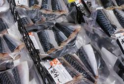seafood image