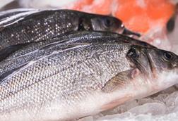 Seabass