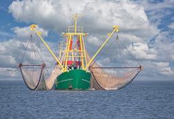 bottom trawler