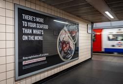 EJF Criminal Catches campaign