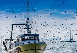 Fishing vessel