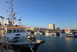 fishing boats large and small