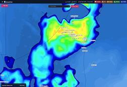 330923_greenfish1_510691