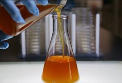Veramaris algae oil
