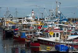 Fraserburgh Harbour