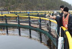 Russian salmon farms