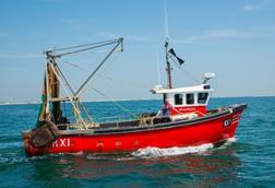 s960_Fishing_images_for_general_use_scale_for_gov
