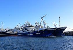 Scottish pelagic boats