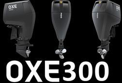 Oxe-300-new.jpg