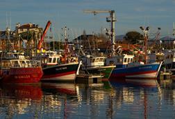 Small-scale fishing vessels on France's Atlantic coast
