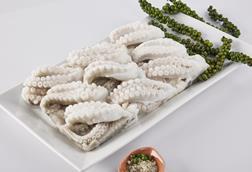 Vietnam squid, octopus exports