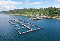 Washington net pen aquaculture
