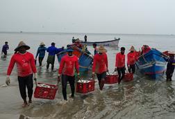 Fishers bringing in catch in the Bay of Bengal