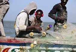 Senegalese fishers