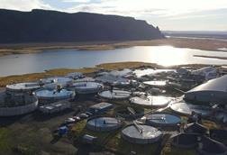 Samherji Fiskeldi land based facility on Iceland - Silfurstjarnan