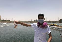 Egypt aquaculture