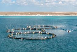 Three fish pens on the Caspian Sea
