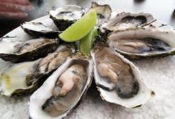 Pacific oysters