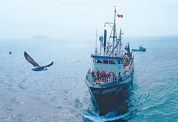 Peruvian anchovy fishing vessel at sea