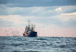 European bottom trawling