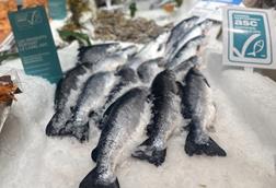 ASC certified salmon sold on French retail markets