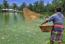 Bangladesh aquaculture