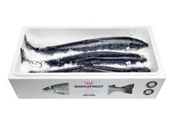 Bakkafrost salmon