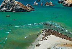Wildlife Watching in Paracas - Promperu