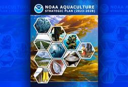 noaa-aquaculture-strategic-plan