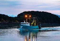 Topaz, Alaska pollock