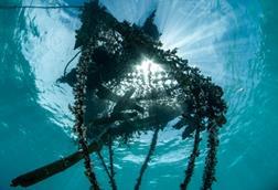 Drifting fish aggregating devices