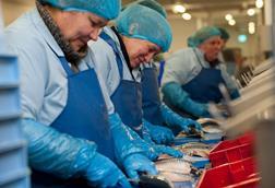 UK Processing, Seafish