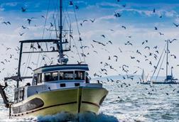 EU fishing