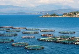 EU aquaculture
