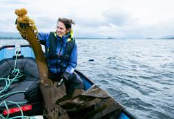 Report co-author Dr Kati Michalek examines some Saccorhiza polyschides growing at the SAMS seaweed farm