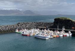 Iceland fishing vessels