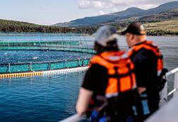 Scottish Sea Farms, Fishnish