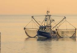 fishing vessel at sea