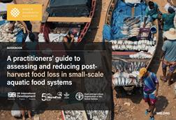 A Practitioner’s Guide to Assessing and Reducing Post-Harvest Food Loss in Small-Scale Aquatic Food Systems