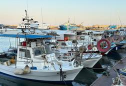 Small fishing boats lined up at a pontoon