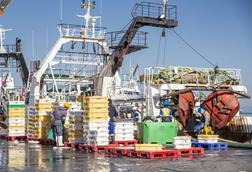 Workers on board a hake trawler