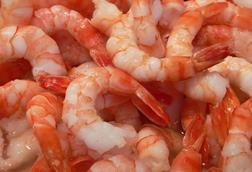 Farmed shrimp