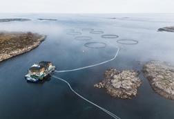 A picture of SalMar's Norwegian farming operations, a vessel circling fish cages in the water