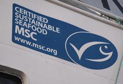 The MSC has released a list of topics to be discussed as part of its Fisheries Standard Review Photo: MSC