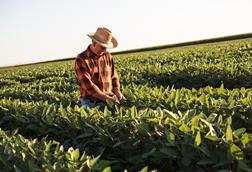 Soy Farmer