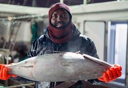 MSC albacore fisherman holding frozen tuna